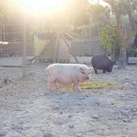 Villa S'almudaina Farm 12p Etv1135 Ballerics