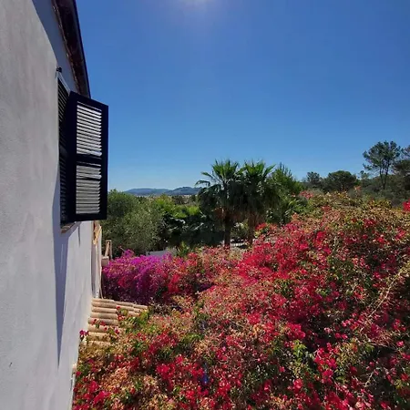 Villa S'almudaina Farm 12p Etv1135